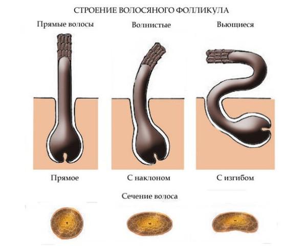 Завивка волос на длительное время